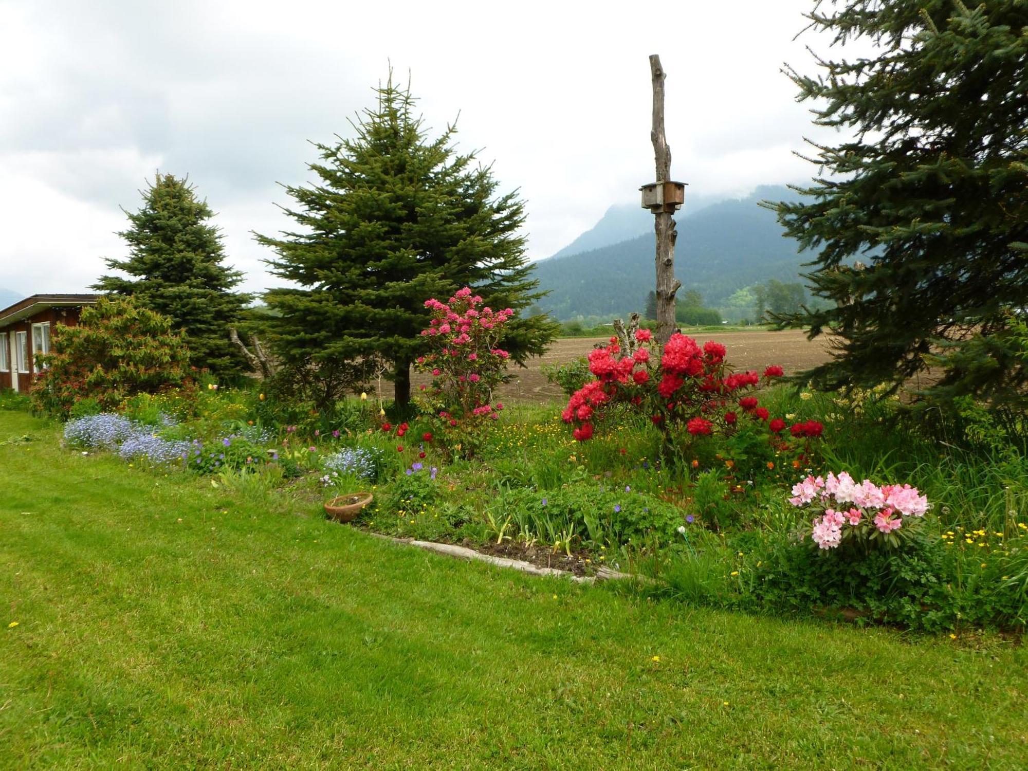 Harrison Hammond House Farmstay Harrison Mills Bagian luar foto