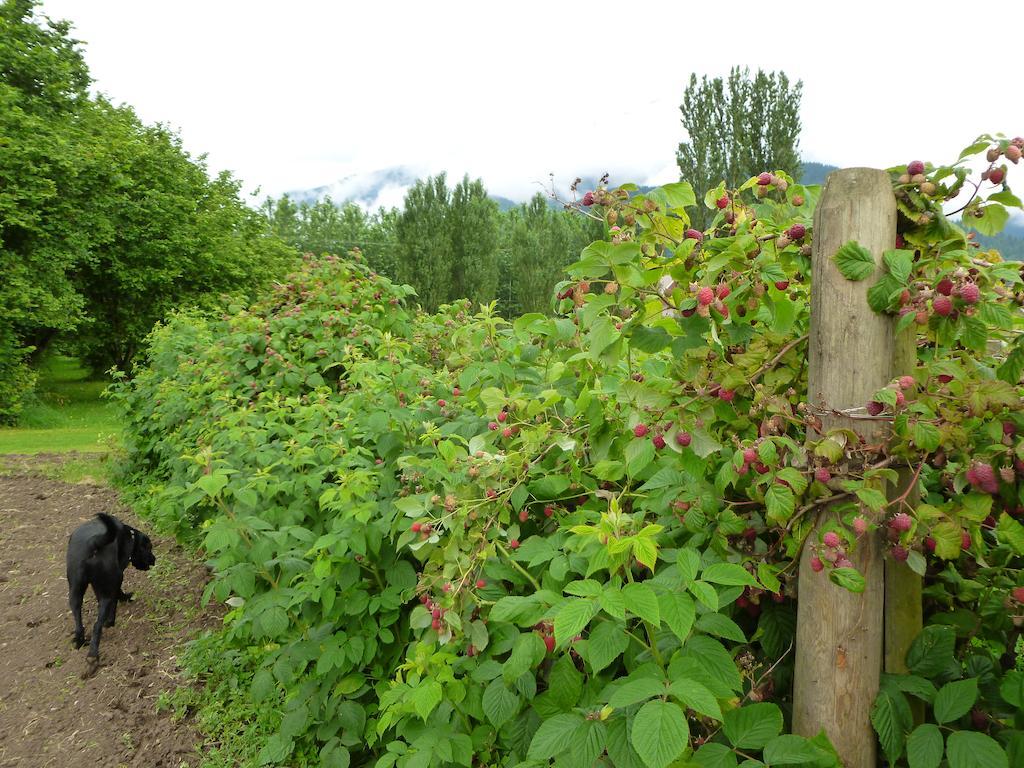 Harrison Hammond House Farmstay Harrison Mills Bagian luar foto